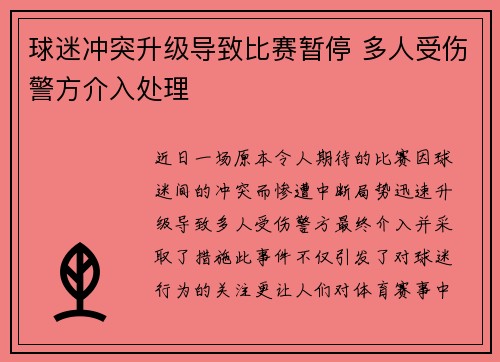 球迷冲突升级导致比赛暂停 多人受伤警方介入处理